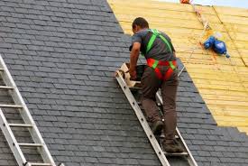 Best Roof Maintenance and Cleaning  in Round Lake Park, IL